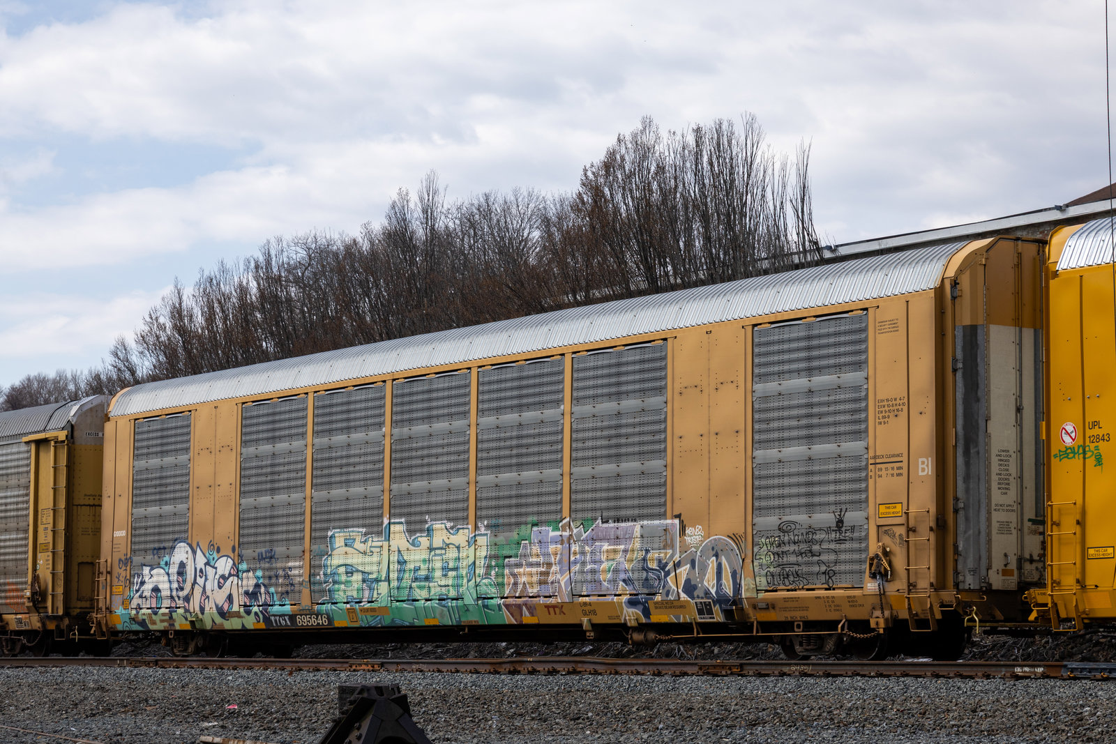TTGX 695646