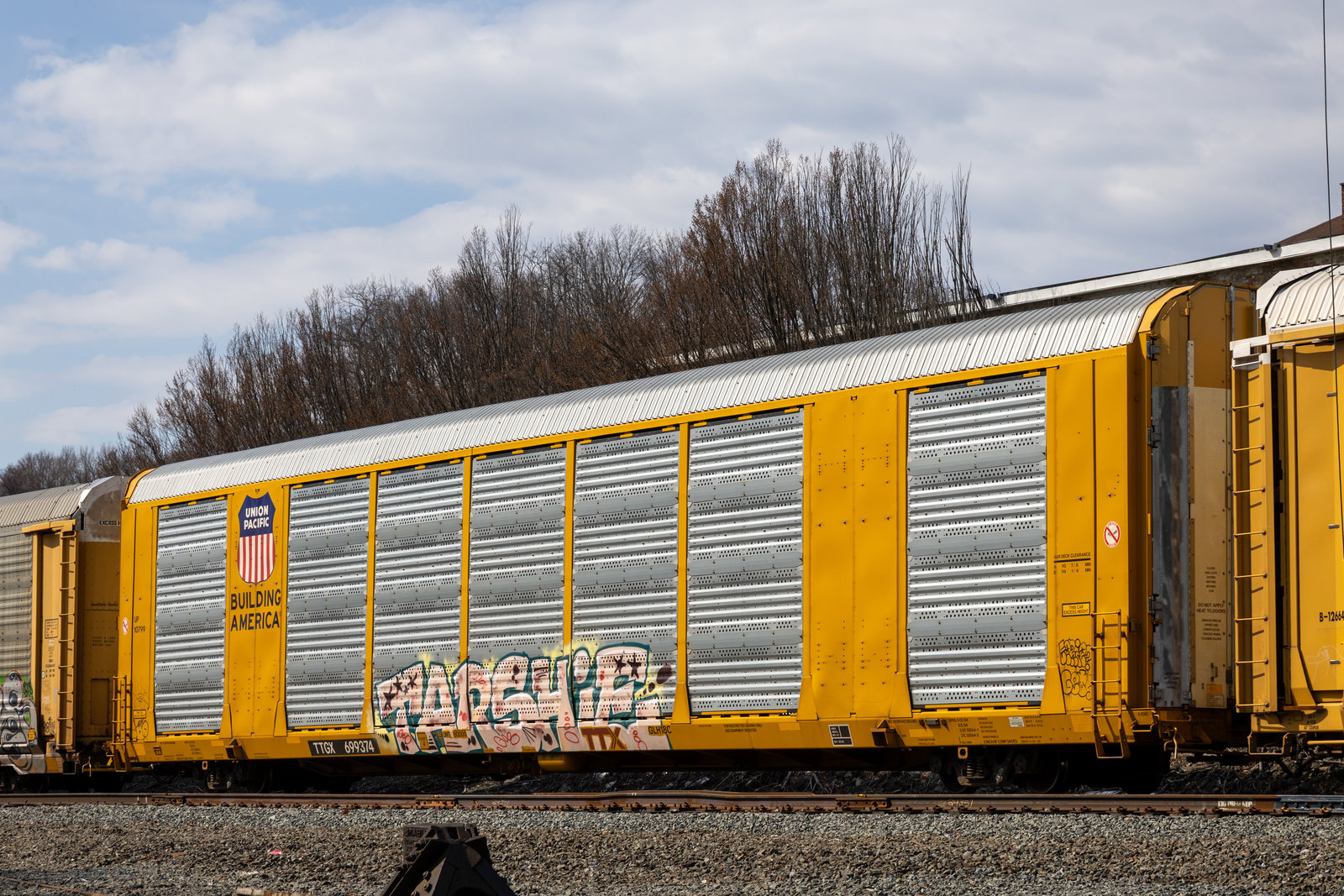 TTGX 699374