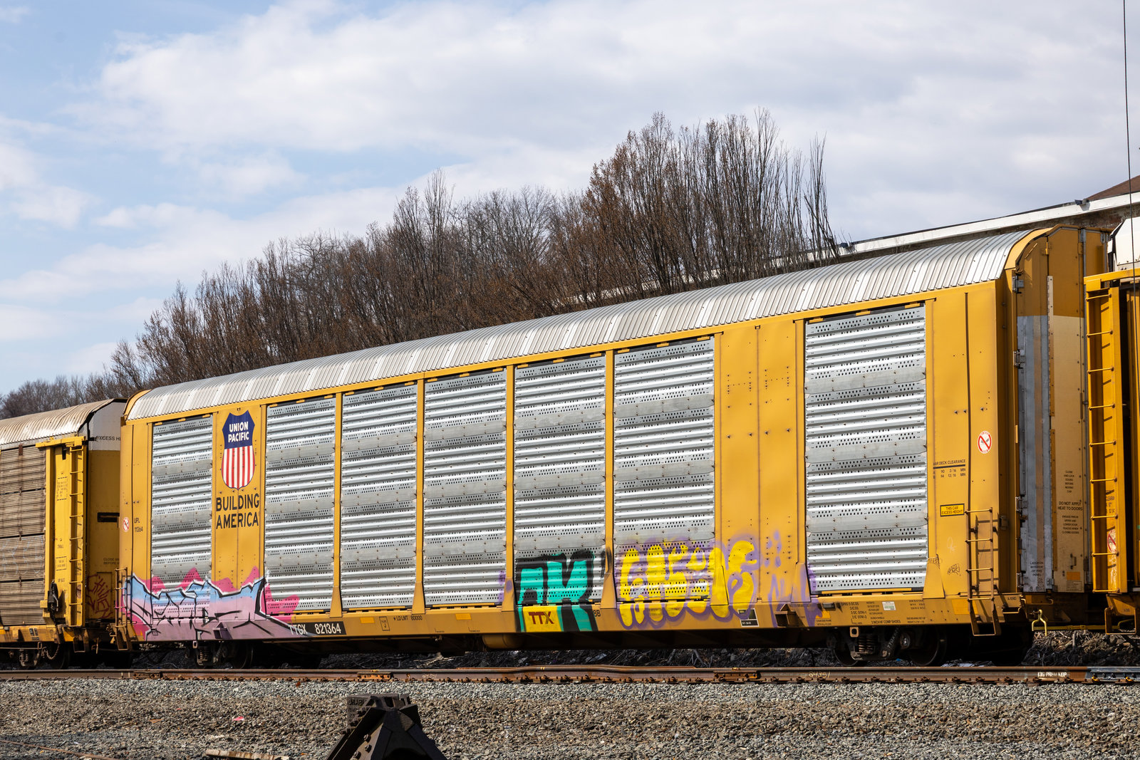 TTGX 821364