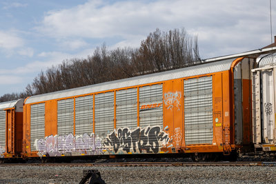 TTGX 693727