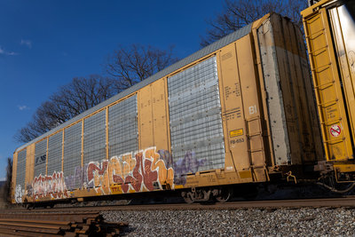 TTGX 691663