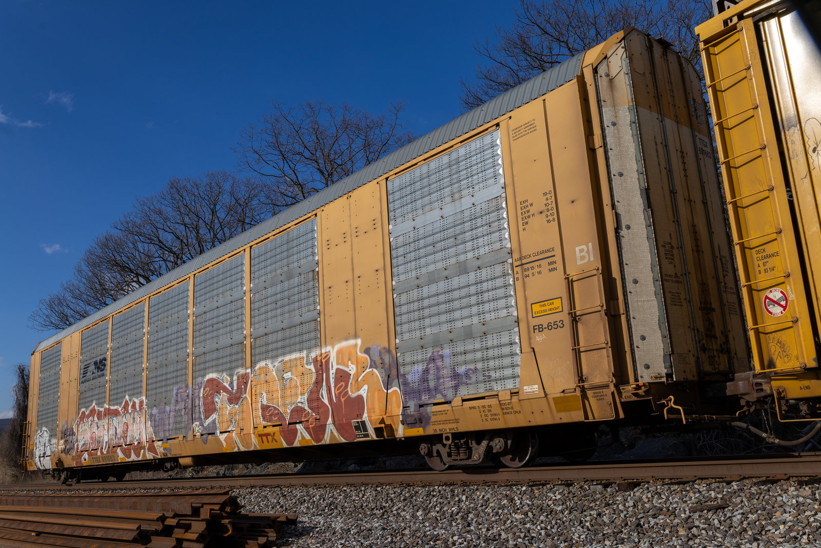 TTGX 691663