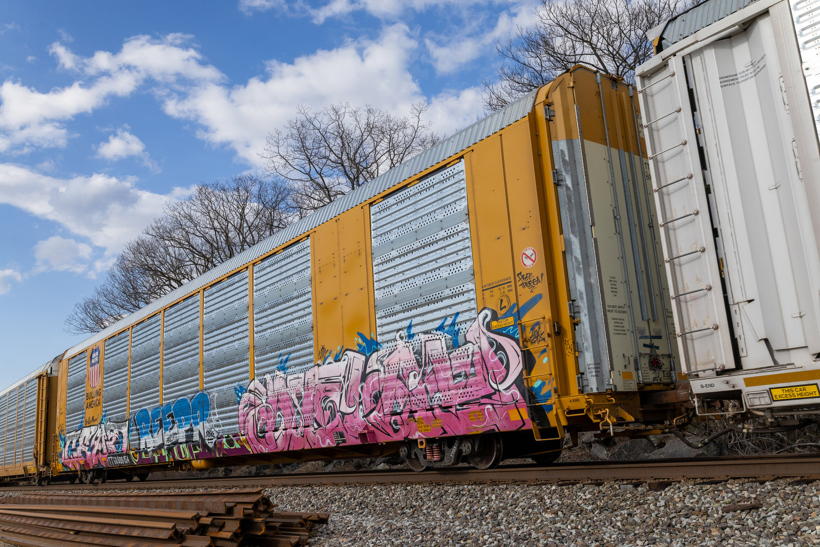 TTGX 699154