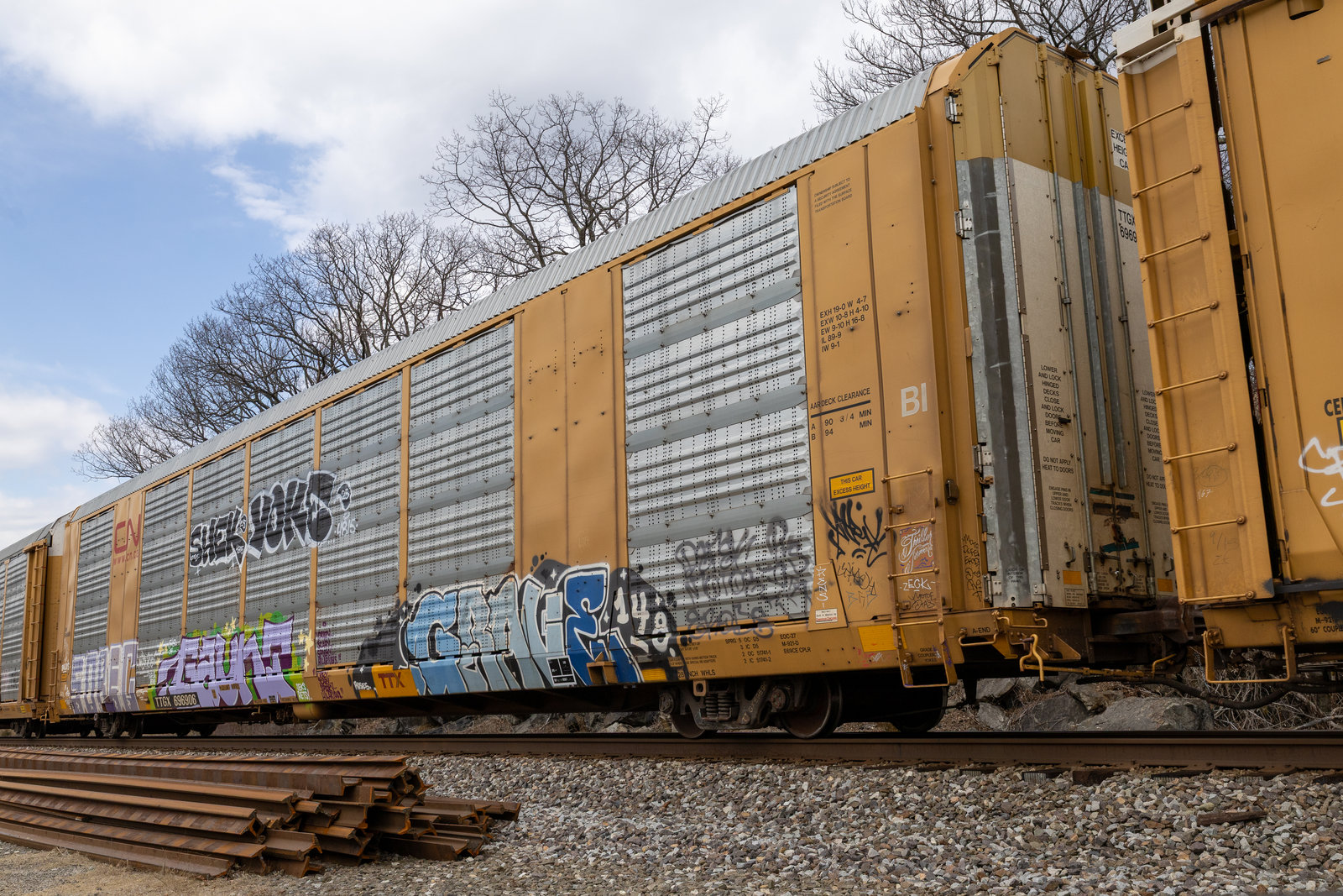 TTGX 696906