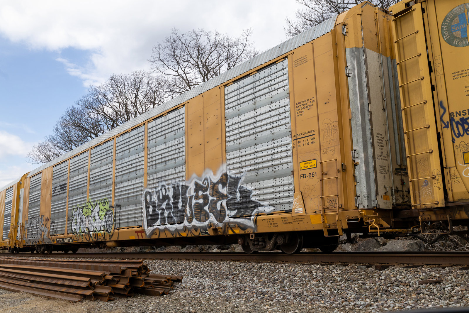 TTGX 697731