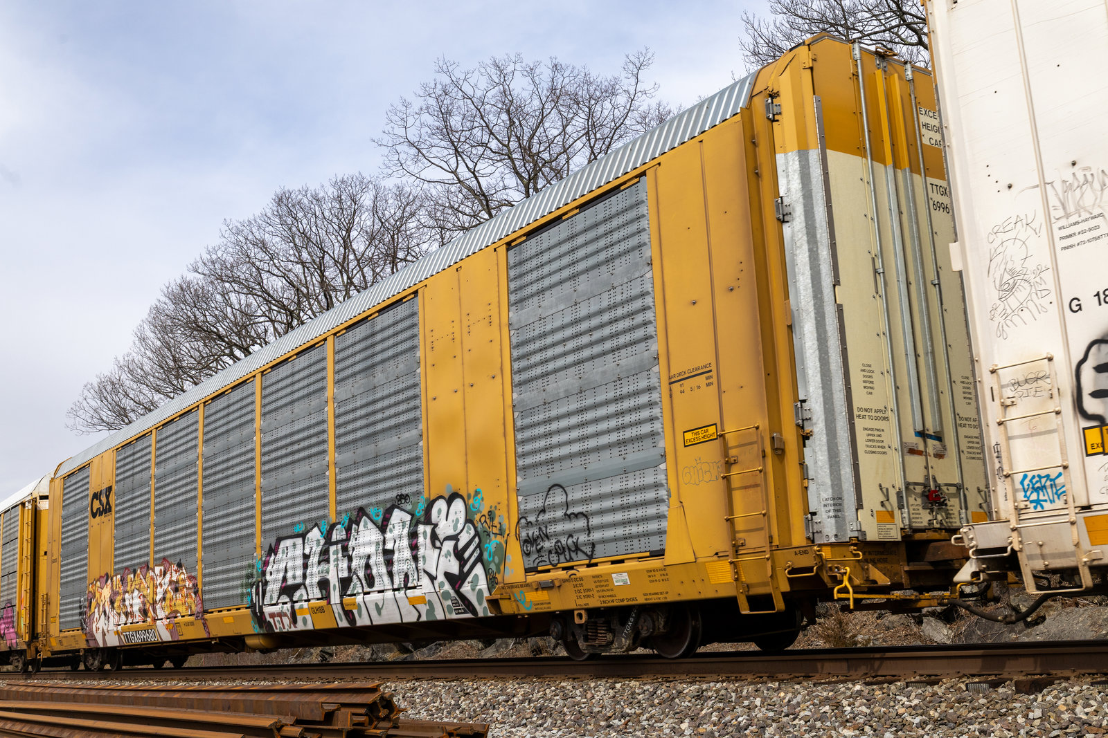 TTGX 699680