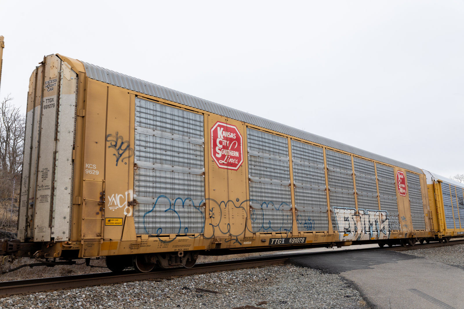TTGX 691078