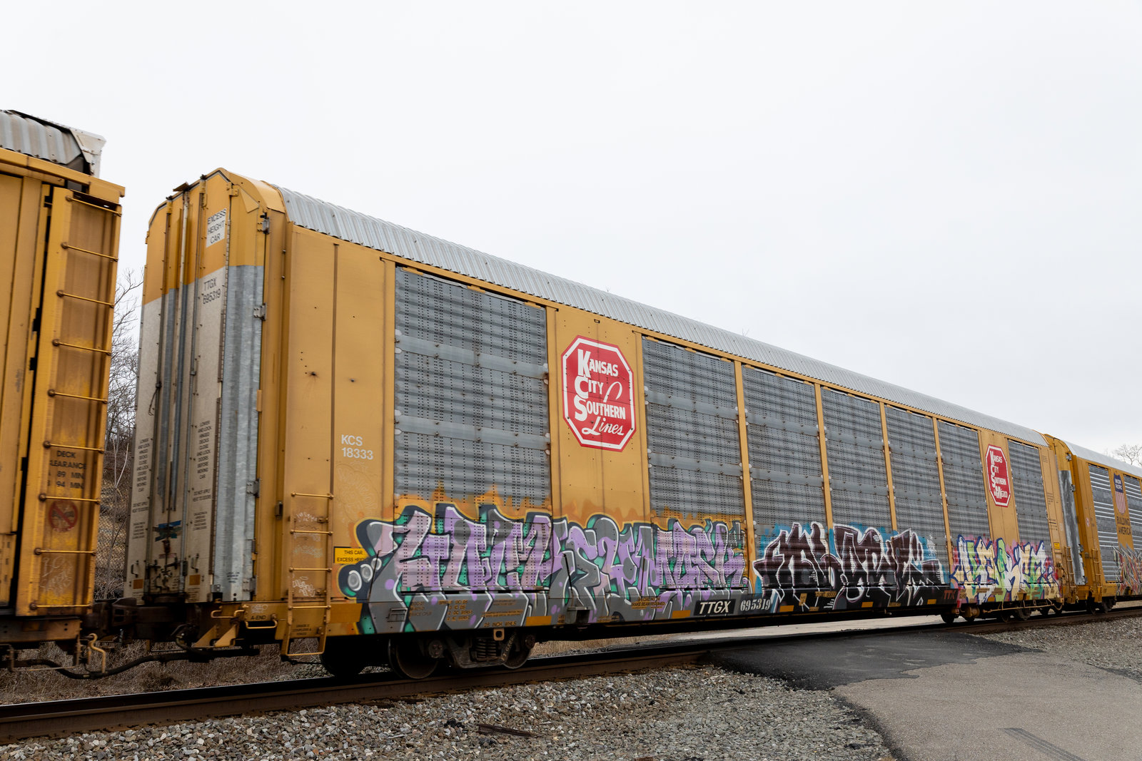 TTGX 695319