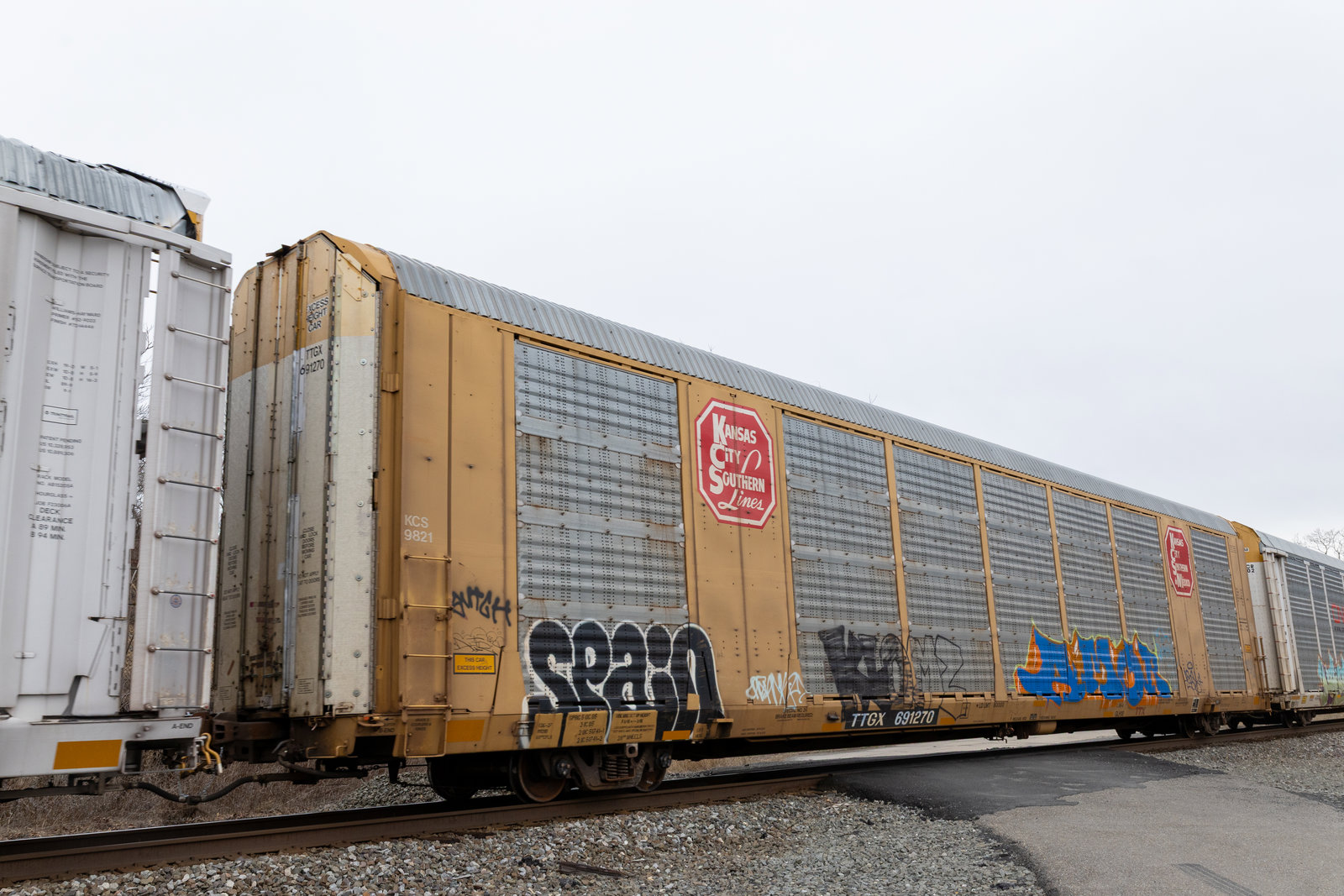 TTGX 691270