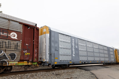 TTGX 824961