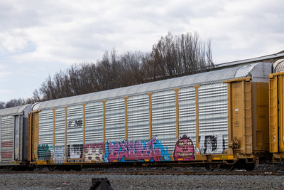 TTGX 988755