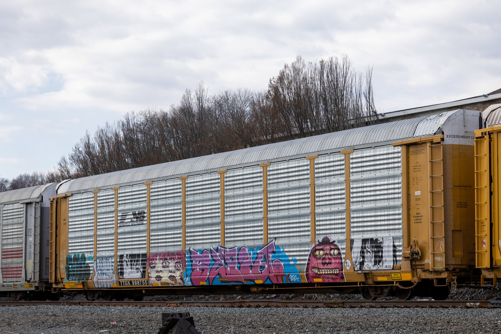 TTGX 988755