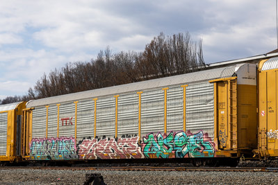 TTGX 710739