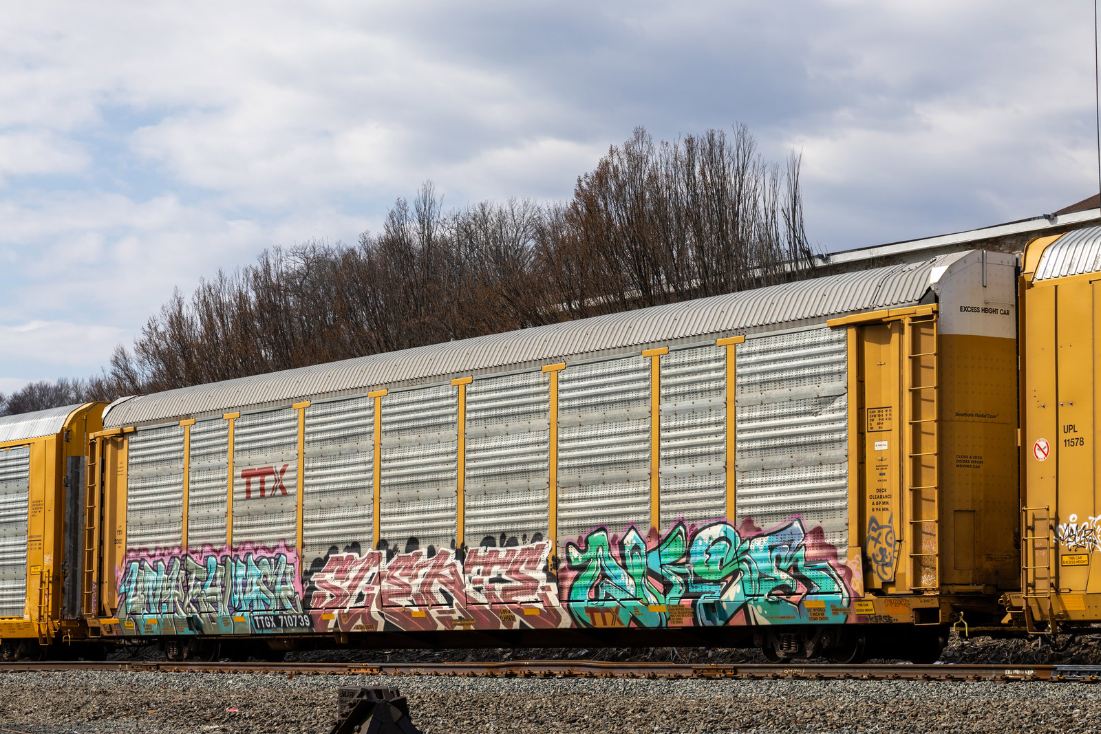 TTGX 710739