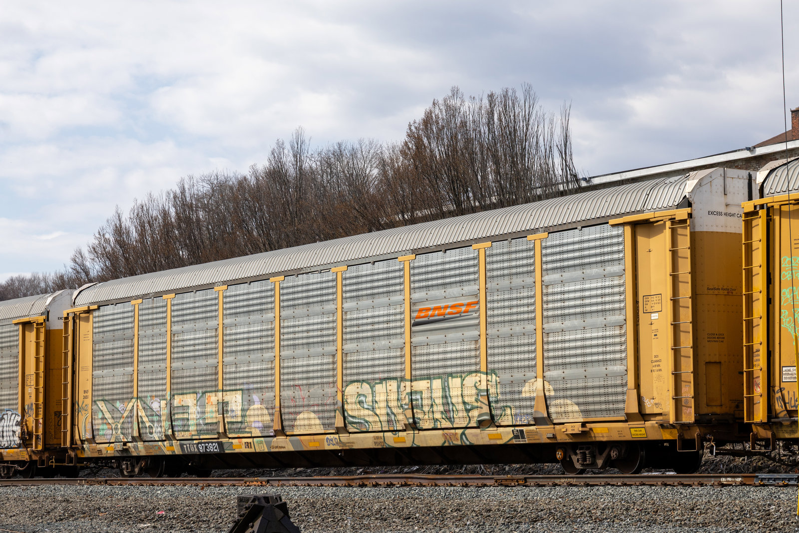 TTGX 973921