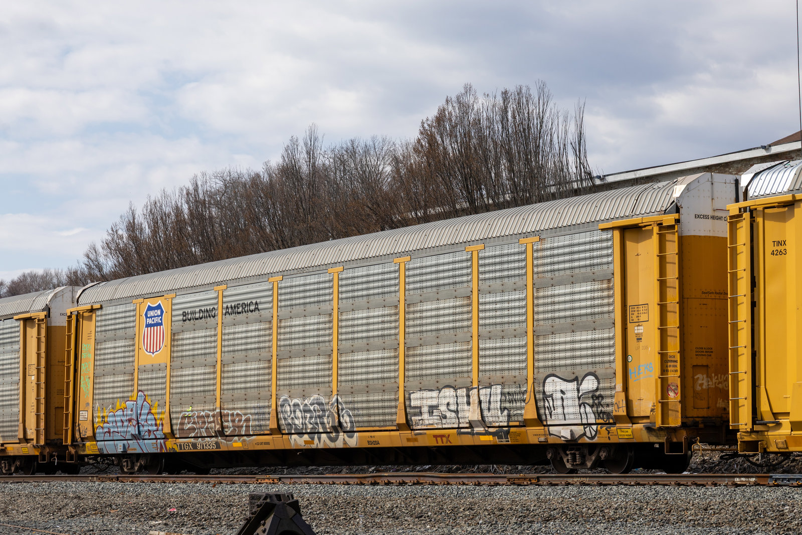 TTGX 971335