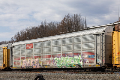 TTGX 706845