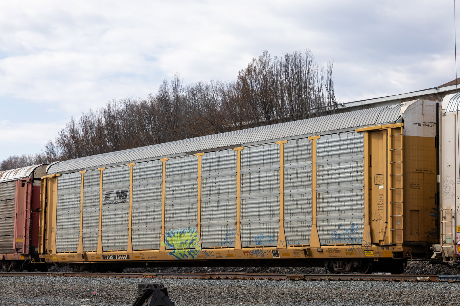 TTGX 704441