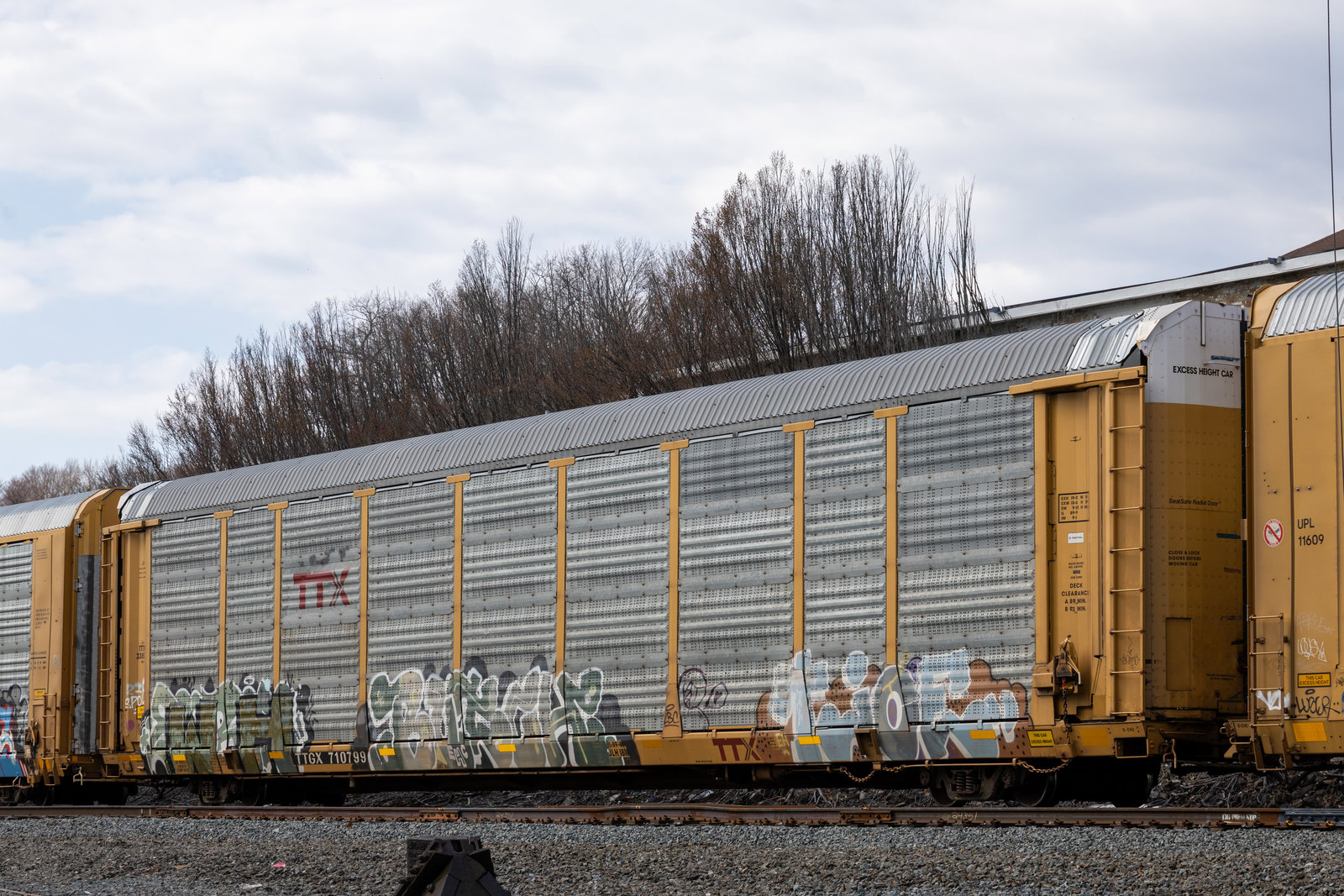 TTGX 710799