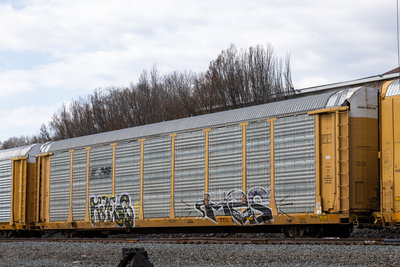TTGX 710097