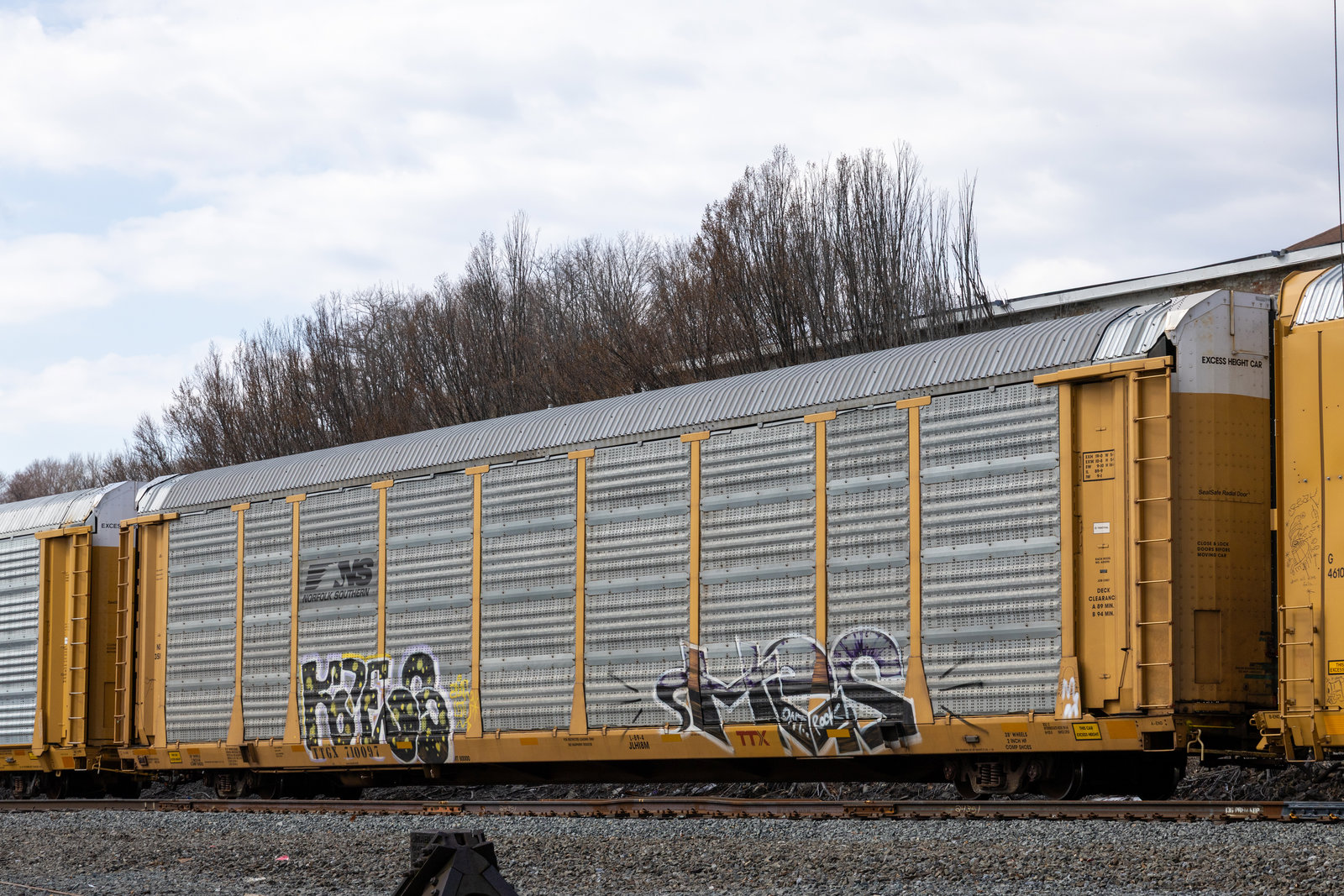TTGX 710097
