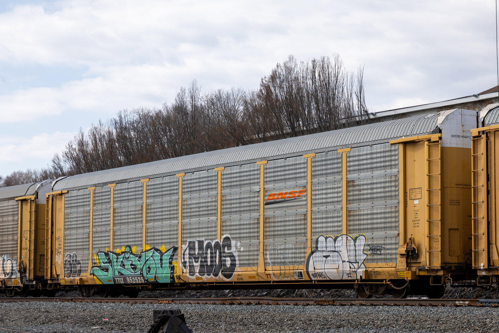 TTGX 952525