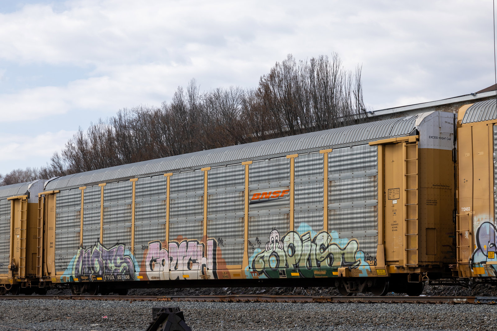 TTGX 952608