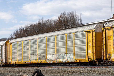 TTGX 953776