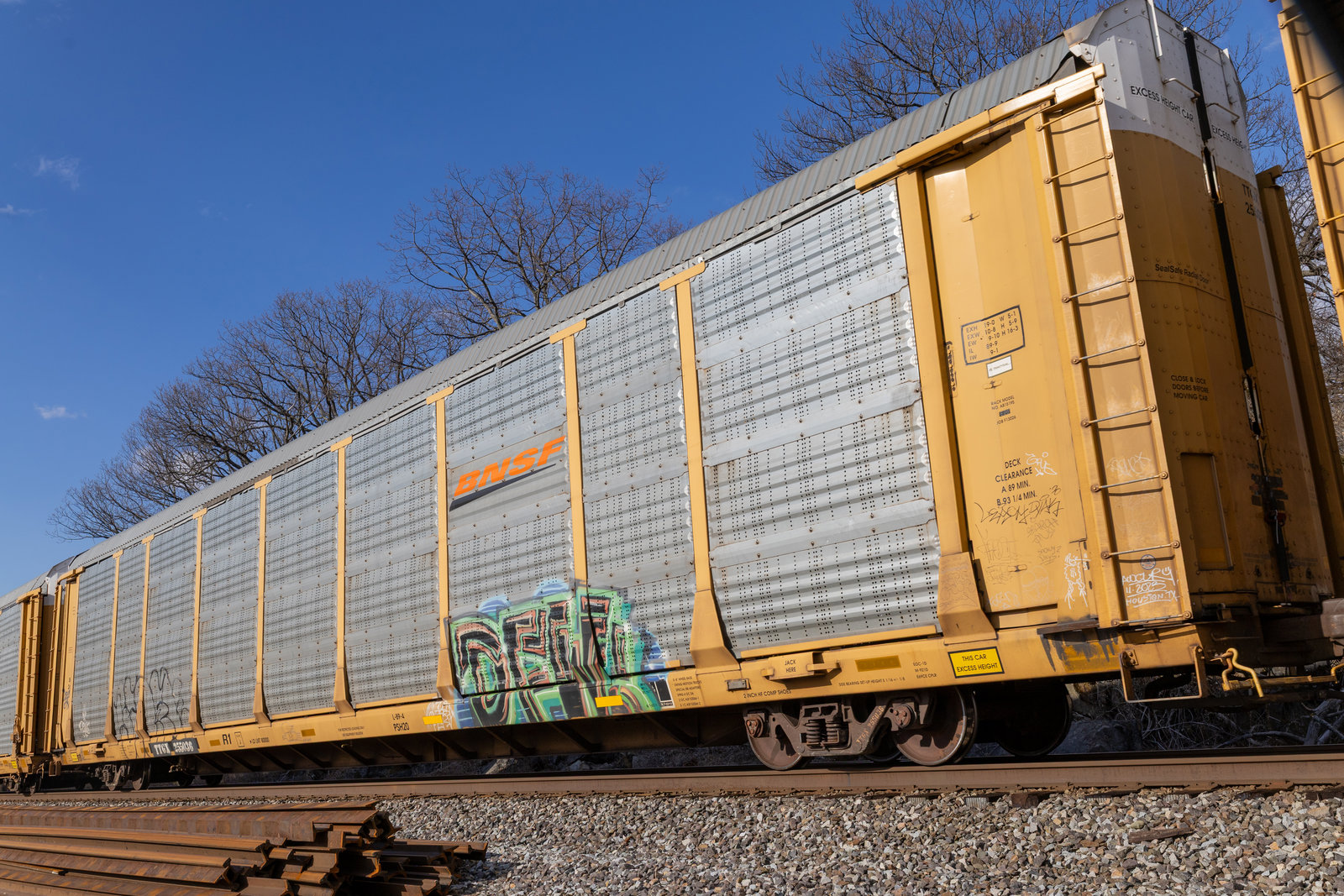 TTGX 255036