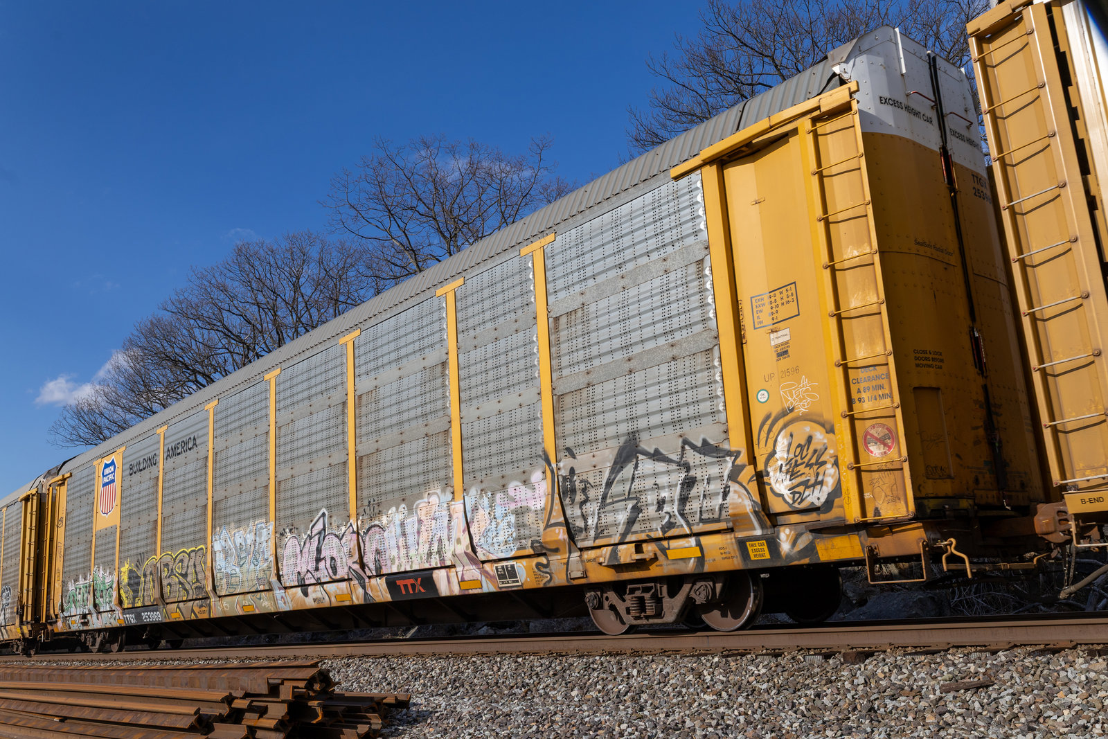 TTGX 253969