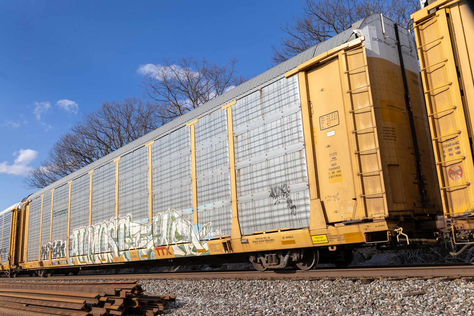 TTGX 703656