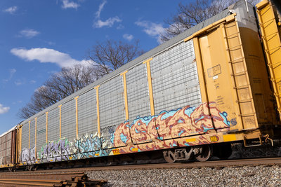 TTGX 981557