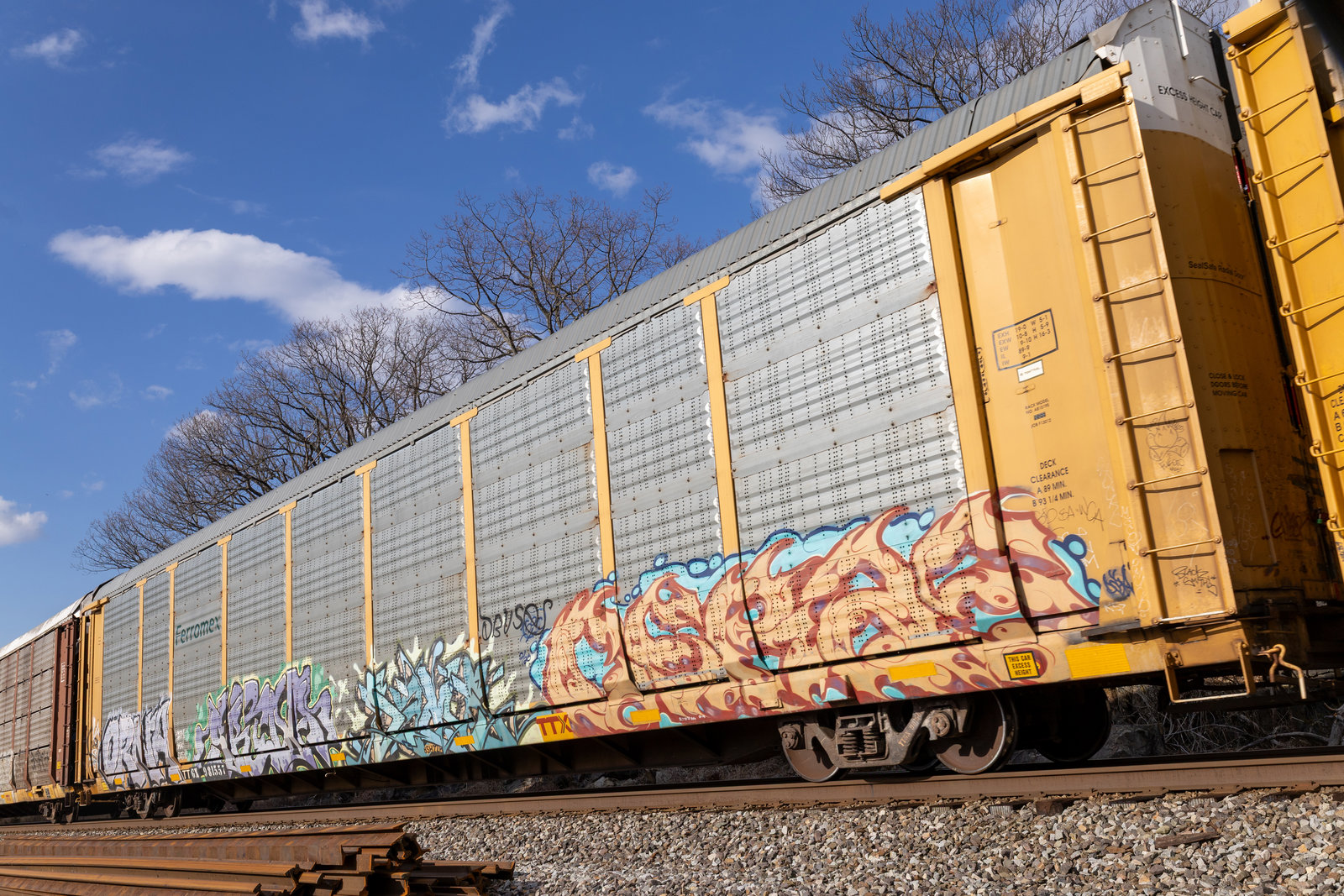 TTGX 981557