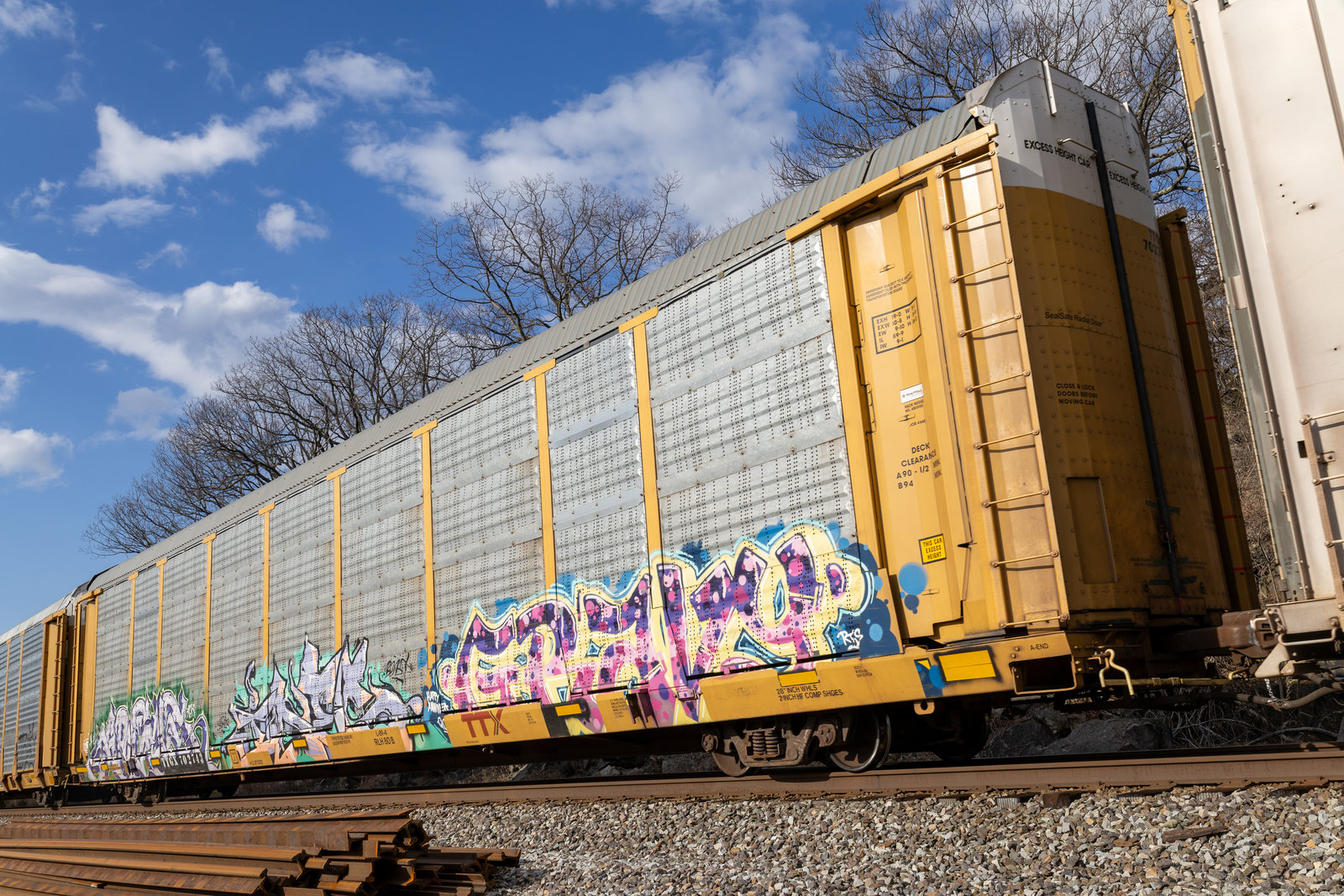 TTGX 702743