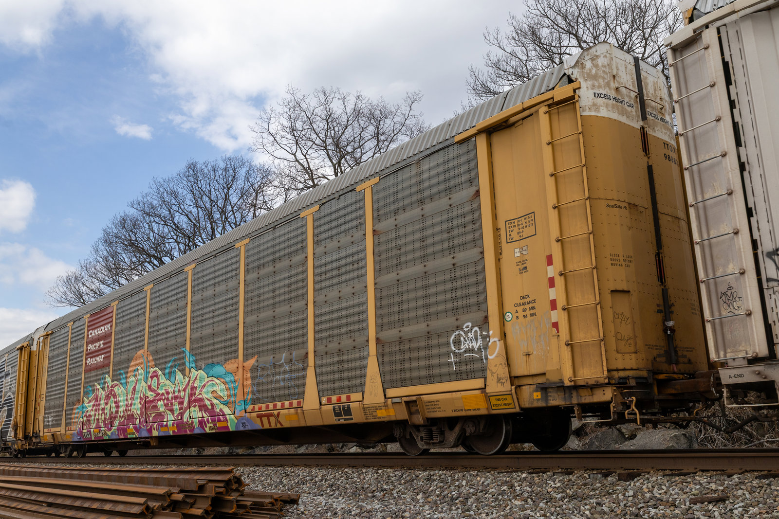 TTGX 988839