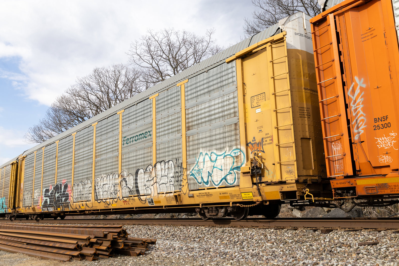 TTGX 703655