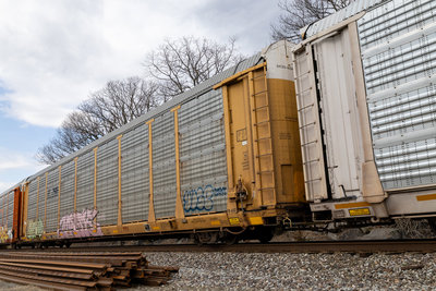 TTGX 704273