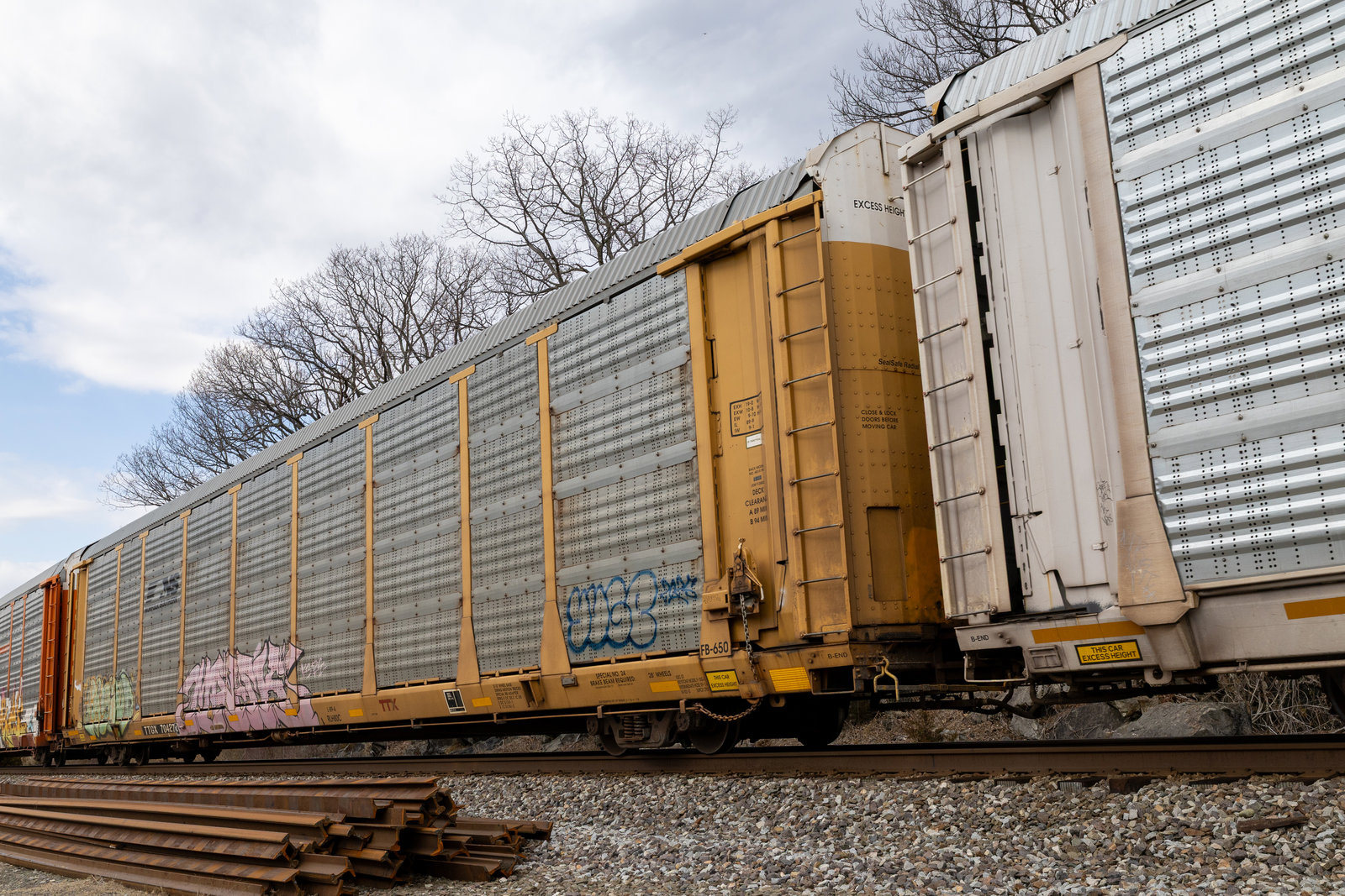 TTGX 704273