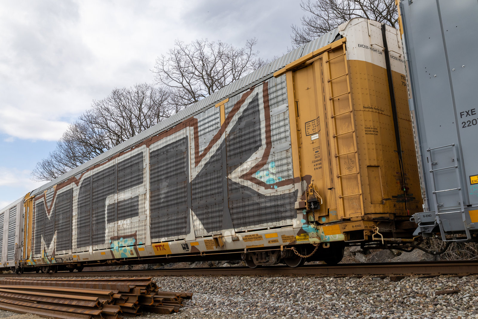 TTGX 704772