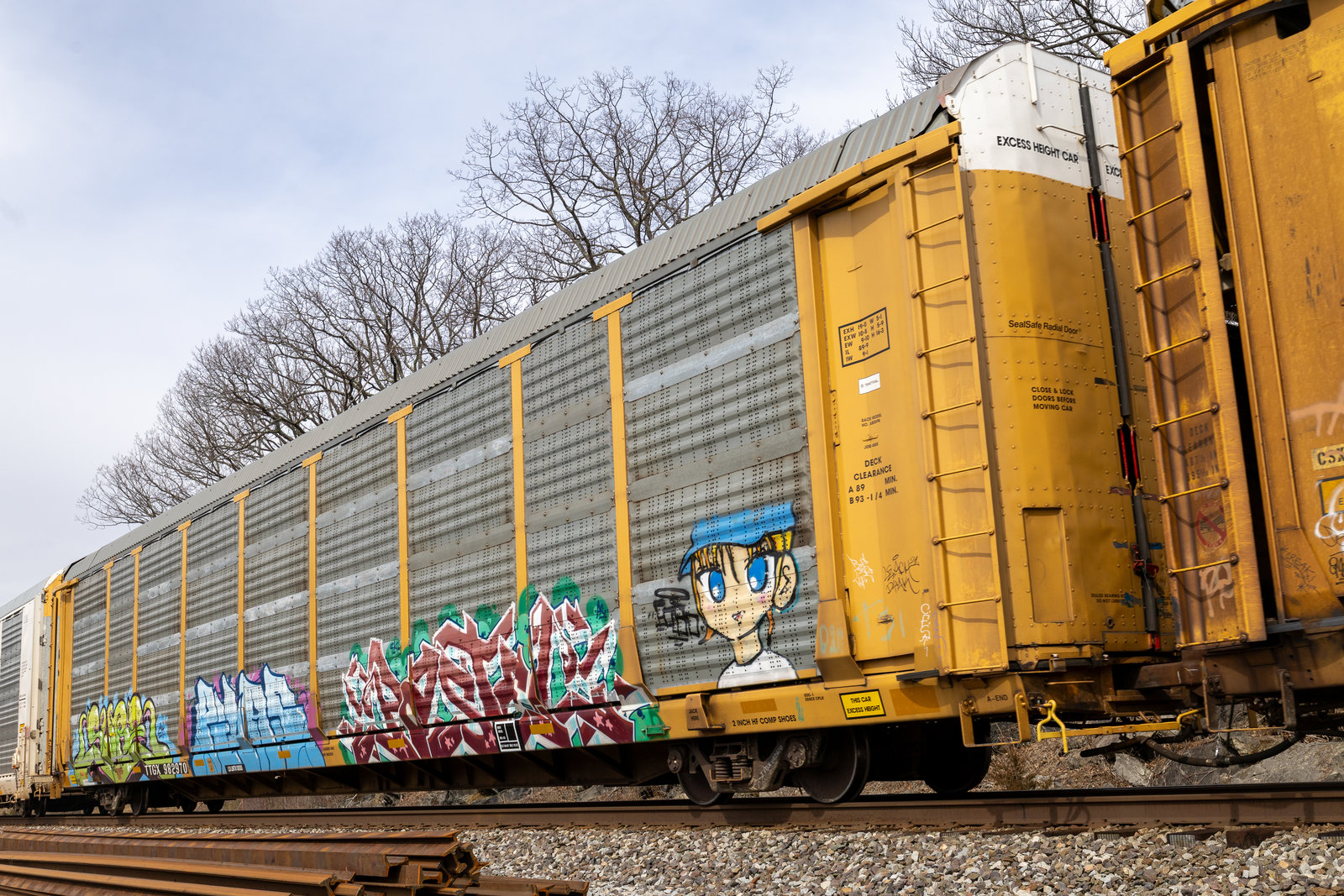 TTGX 982970