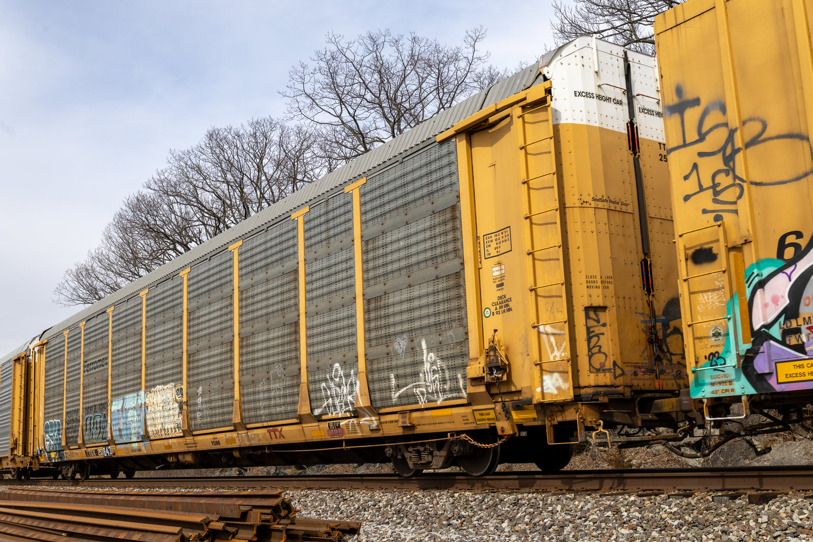 TTGX 253843
