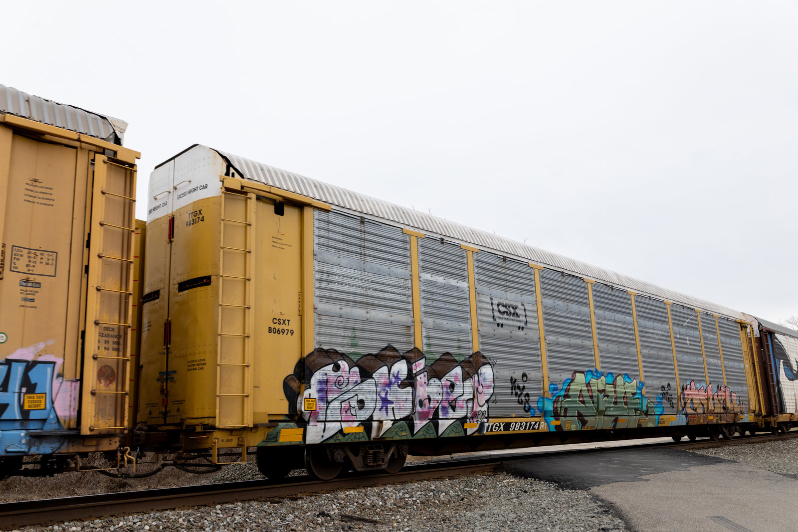 TTGX 983174