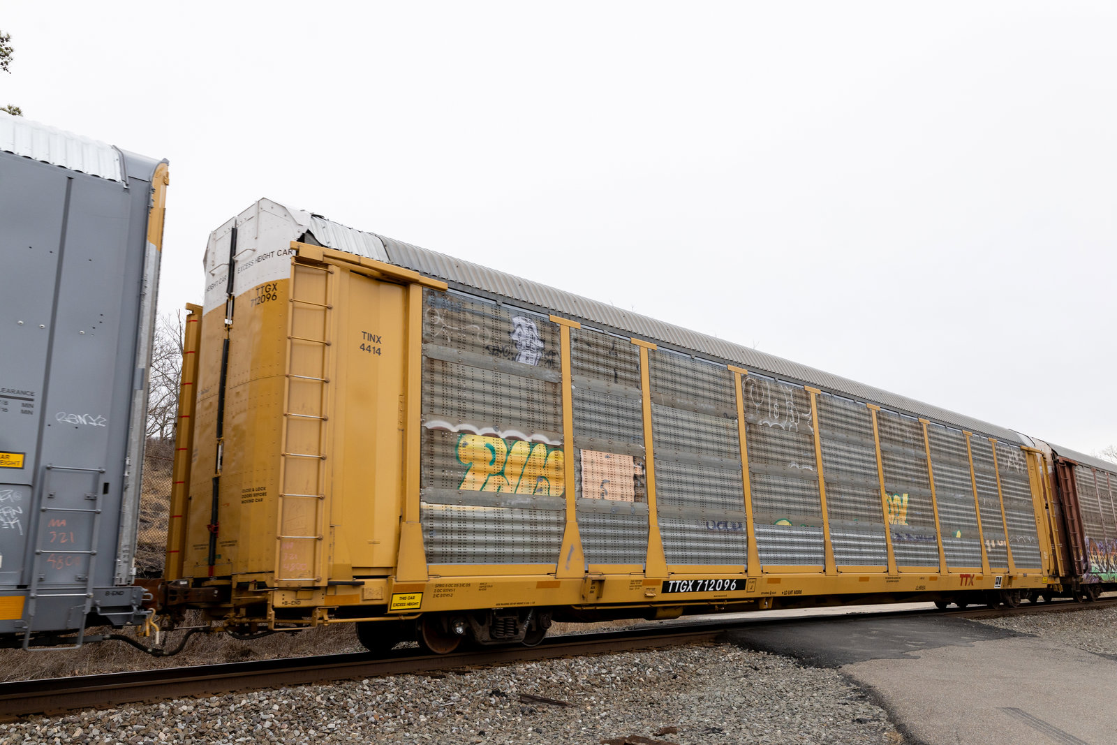 TTGX 712096