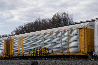 TTGX 991591