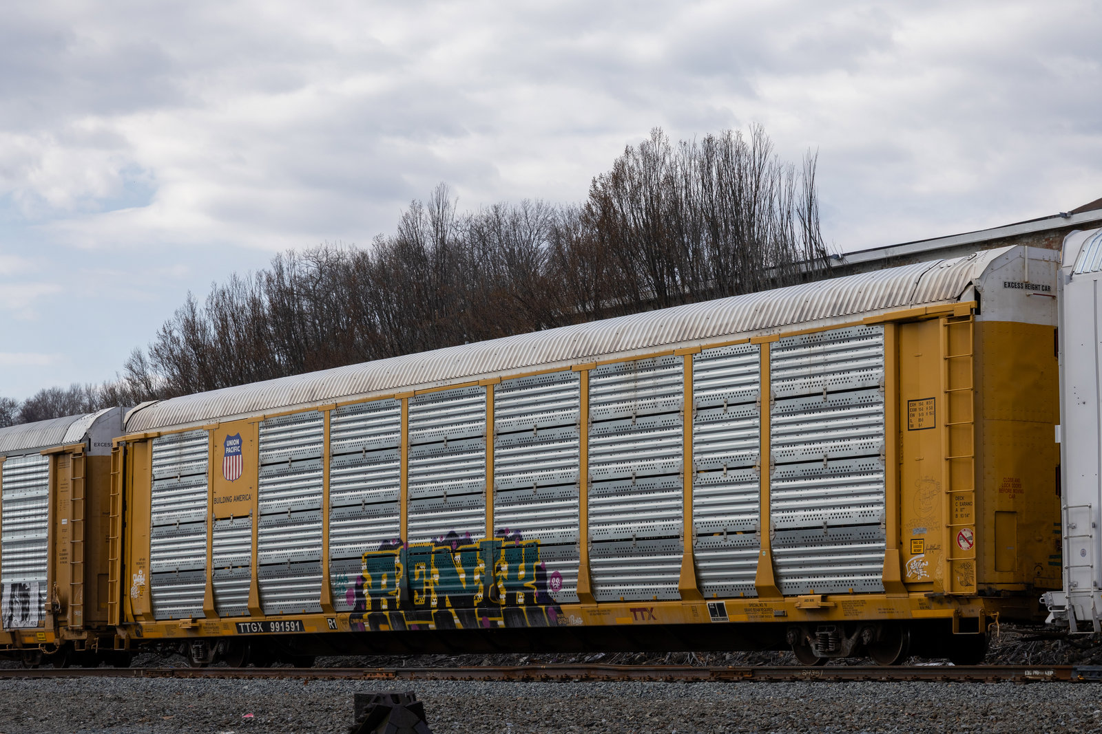 TTGX 991591