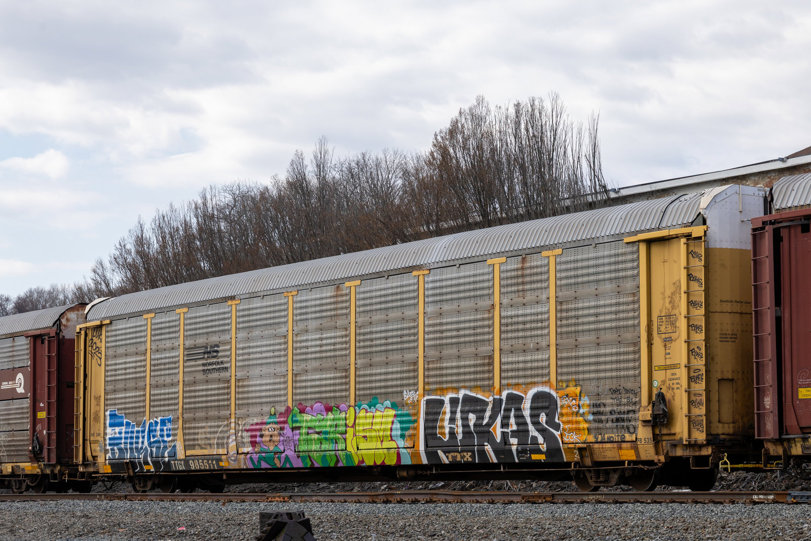 TTGX 985511