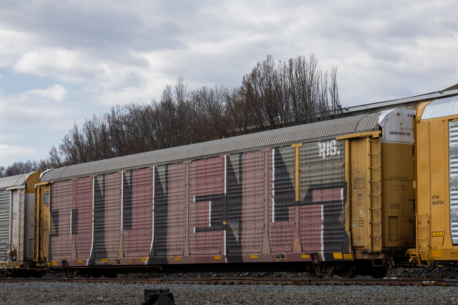 TTGX 989104