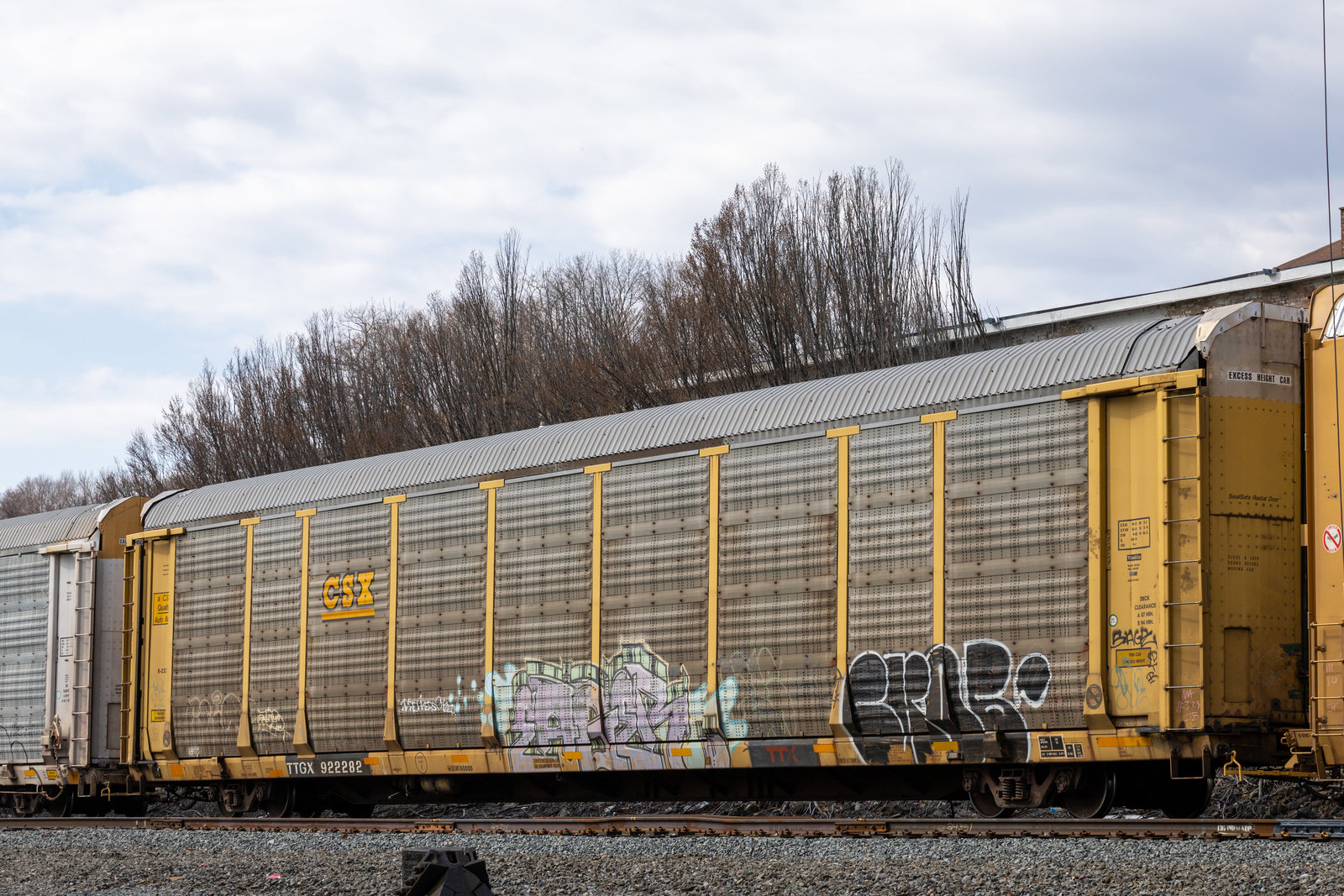TTGX 922282