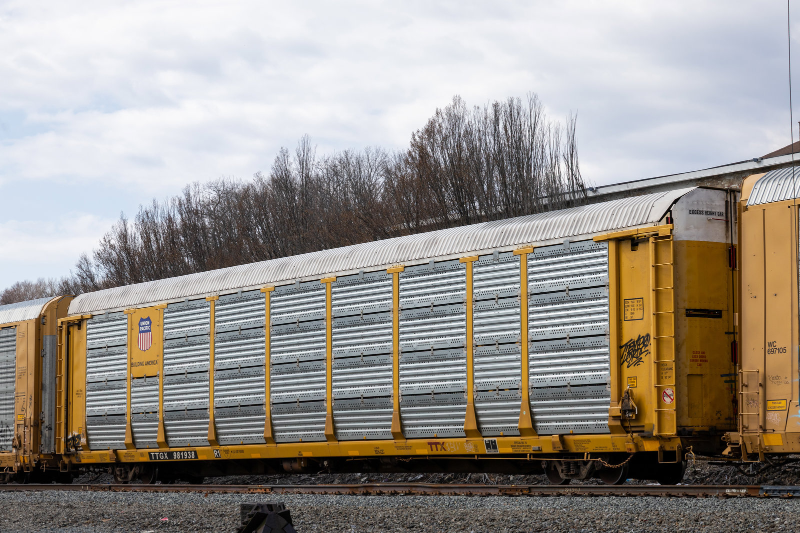 TTGX 981938