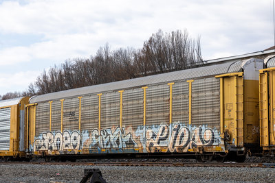 TTGX 985427